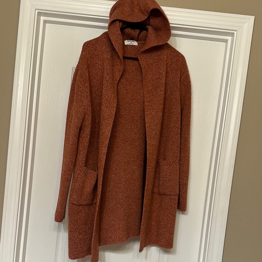 Cozy Rust Hooded Sweater